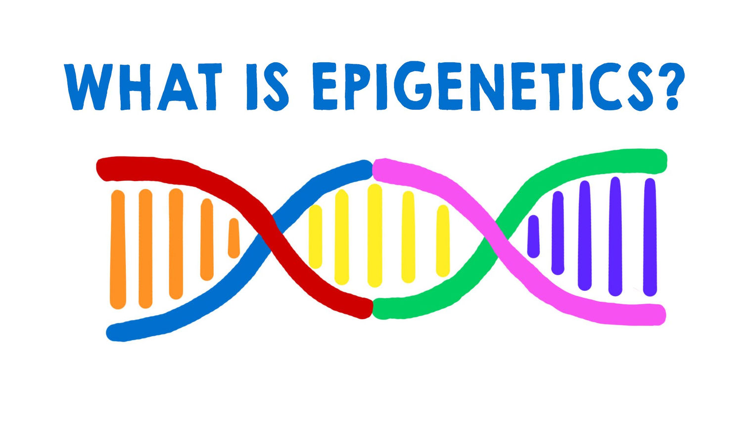 Epigenetics